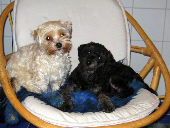 Lola Tussan God Jul Lola Tussan God Jul