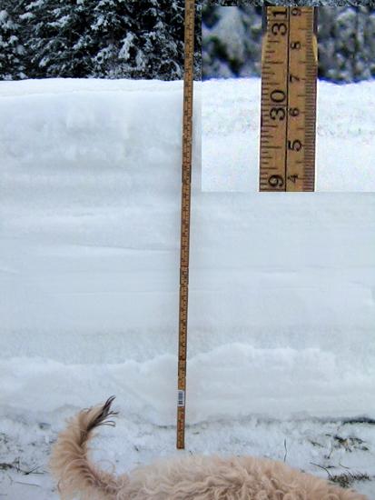 77 cm snödjup
